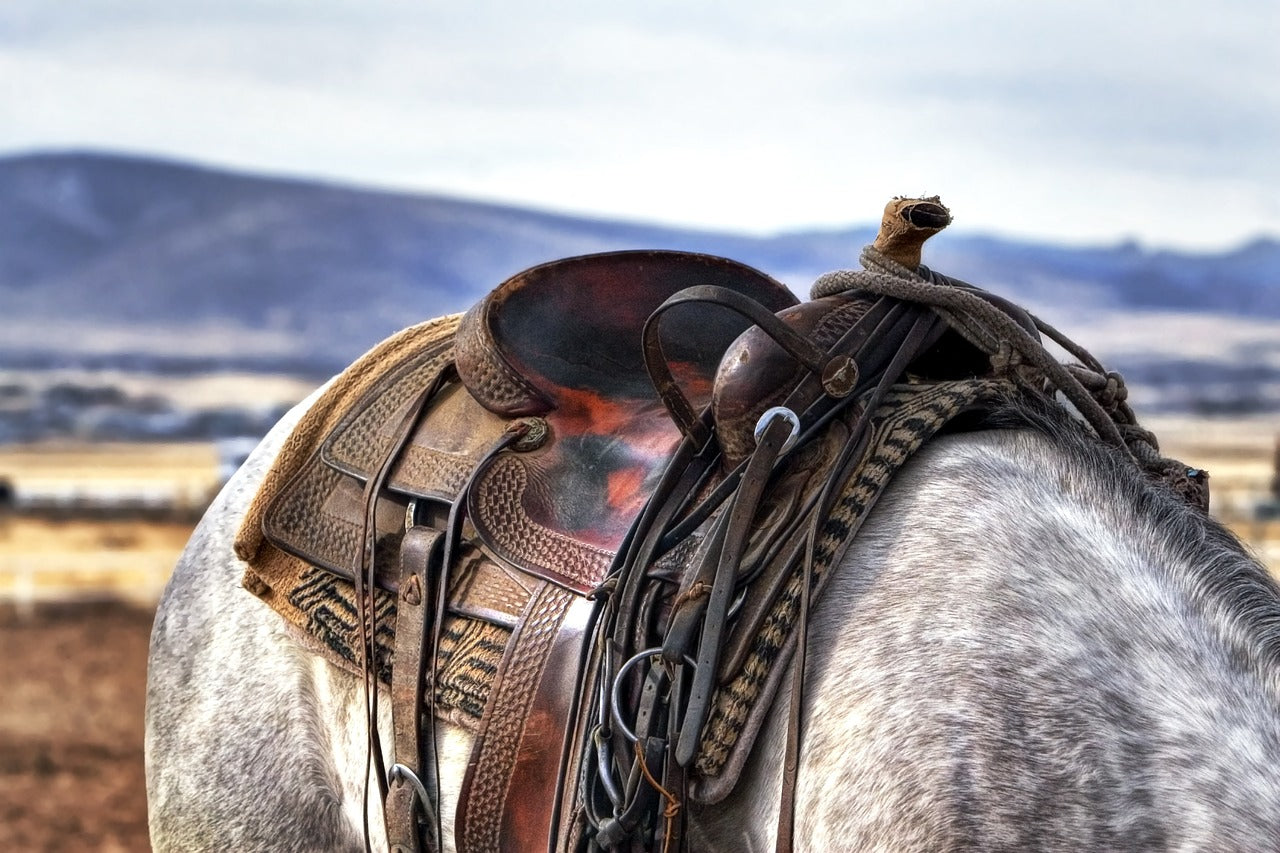 The Cowboy Way Of Life: What It Means And Why It Still Resonates Today ...